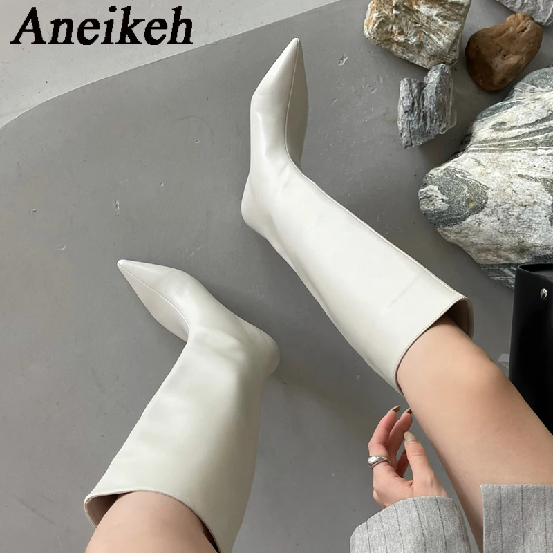 Women'S Fashion Knee High Boots - Aneikeh 2027 Sepatu Bot Panjang Selutut